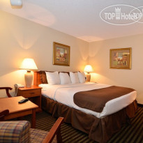 Best Western Oasis Inn & Suites 