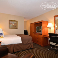 Best Western Oasis Inn & Suites 