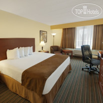 Best Western Airport Plaza Inn