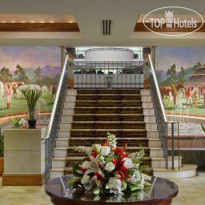 Hilton Lexington Suites 