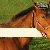 Hampton Inn Lexington South-Keeneland Airport 