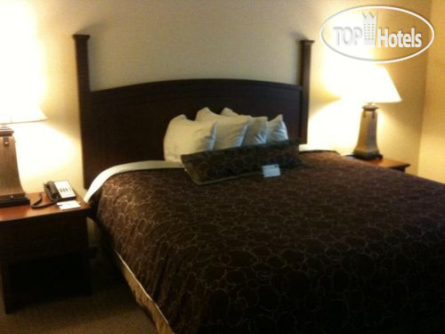 New photos from tourists Staybridge Suites Fayetteville-Univ Of Arkansas 3*