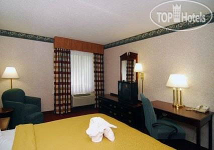 New photos from tourists Eureka Holiday Hotel 3*