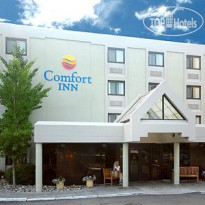 Comfort Inn Airport Warwick 