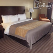 Comfort Inn Clarksdale