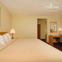 Quality Inn Elgin