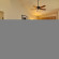 Best Western Plus Timber Creek Inn & Suites 