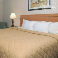 Comfort Inn North
