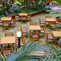 Embassy Suites Chicago - O Hare Rosemont