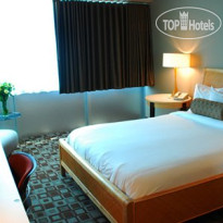 The State House Inn an Ascend Hotel Collection Member 