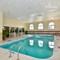 Best Western Saluki Inn