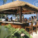 Fairmont Orchid 