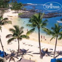 Fairmont Orchid