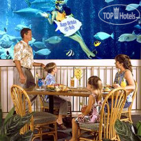Alohilani Resort Waikiki Beach
