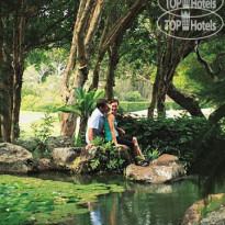 Sensei Lanai, A Four Seasons Resort