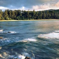 Turtle Bay Resort