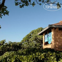 Turtle Bay Resort