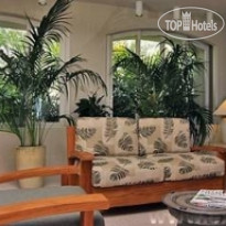 Palms at Wailea