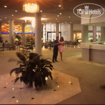 Waikiki Resort 