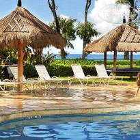 Aston Islander on the Beach 