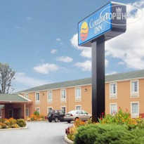 Comfort Inn Farmville 