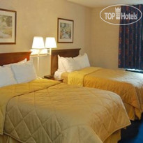 Comfort Inn Farmville 