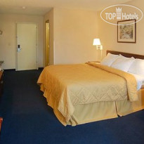 Comfort Inn Farmville 