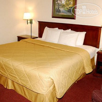 Comfort Inn Winchester 