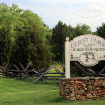Lavender Heights Bed and Breakfast