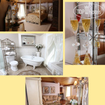 Chestnut Hill Bed & Breakfast 