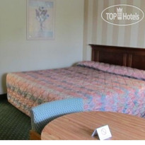 Colony House Motor Lodge 