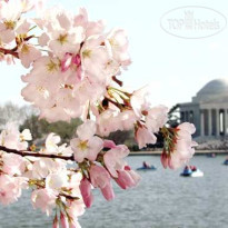 DoubleTree by Hilton Washington DC-Crystal City