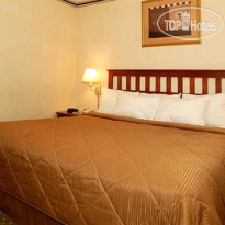 Comfort Inn Long Island City 