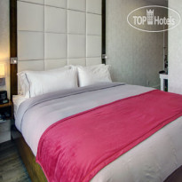 Hotel Indigo Brooklyn 