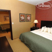 Verve Hotel an Ascend Hotel Collection Люкс