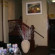 Graffiti Hostel 