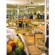 Sofitel New York 