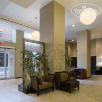 Hilton Garden Inn Chelsea