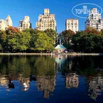 Courtyard New York Manhattan Upper East Side 