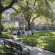 Desmond Tutu Center 