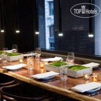 Hyatt Centric Wall Street New York 