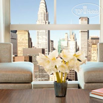 ONE UN New York