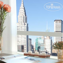 ONE UN New York