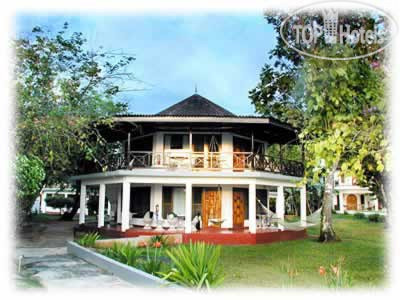 Hotelier's photos Negrils Tree House 3*
