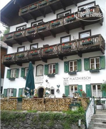 Hotel photo Platzhirsch zum Heurigenwirt 3*