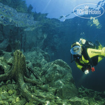 Landgasthof Ragginger Дайвинг