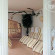 Photos Theresia