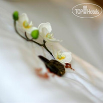 das Balance - Spa & Golf Hotel am Worthersee 