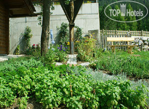 New photos from tourists Moser 4*