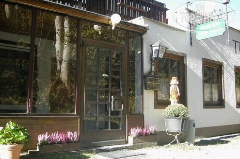 Hotel photo Pension Frohsinn 2*